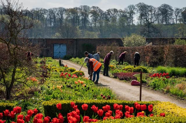 Helmsley Walled Garden, a well-loved tourist attraction and local community charity, has been awarded £130,000 in National Lottery funding to support its work with its local community through volunteering opportunities at the garden. (Pic by Colin Dilcock )