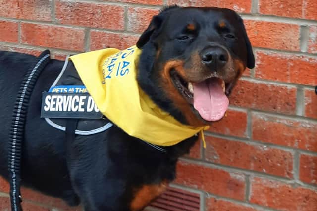 Dempsey had to undergo a thorough, PAT-specific behavioural assessment by a vet to ensure she was safe and appropriate for the role.