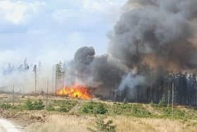 Langdale Moor fire.  Courtesy NYFRS.