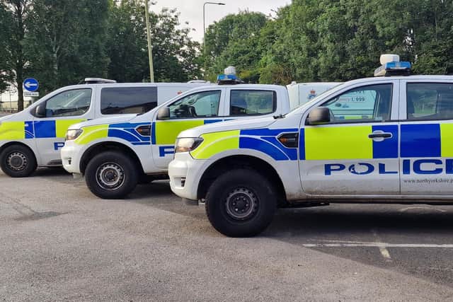Three teenage boys have been arrested in connection with recent thefts