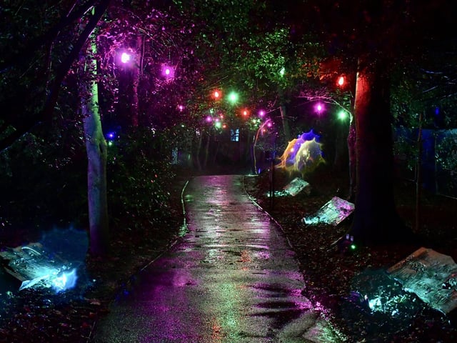 Colourful glowing lights leading the way onwards.