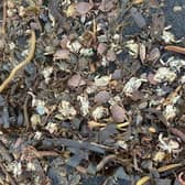 Thousands of dead shellfish have washed up dead across the Yorkshire Coast.