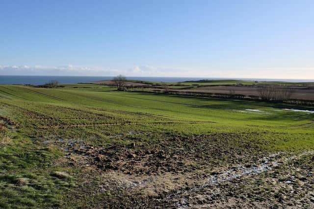 The proposed fracking site near Burniston Coastal Road.
