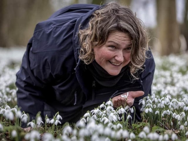 Wander through a wonderful blanket of snowdrops in the woodland walk at Burton Agnes Hall until Sunday, February 25, from 11am to 4pm daily. The playground is open for everyone to enjoy.