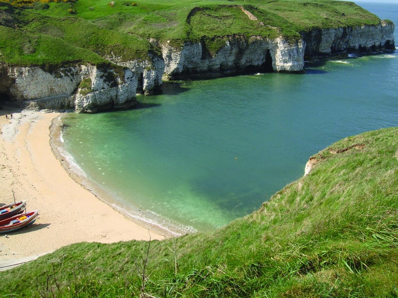 Along the Flamborough Cliffs visitors there are internationally important numbers of breeding seabirds including puffins, fulmars, herring gulls, kittiwakes, guillemots, razorbills for a brief period between May and August.
