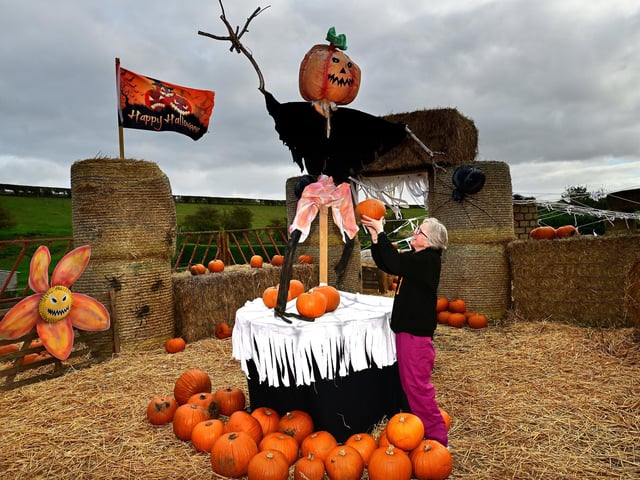 Spooky shenanigans are happening at Humble Bee farm.