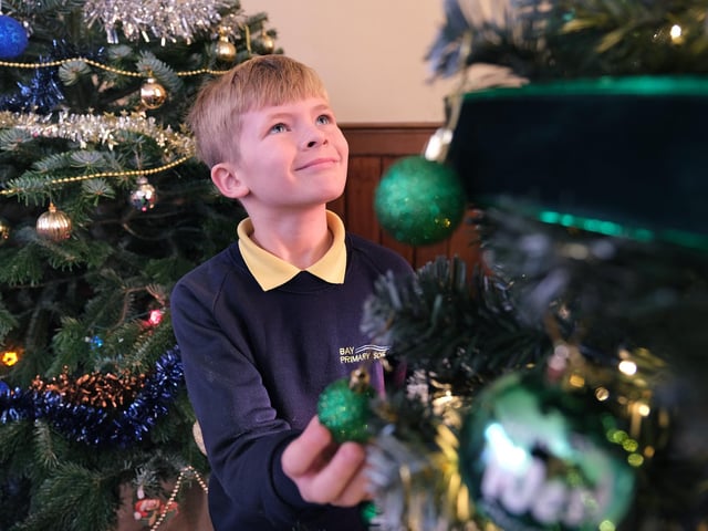 A youngster enjoys the display of trees.