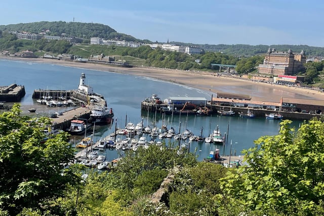 Dawn Humphrey captured this image of the harbour and South Bay.