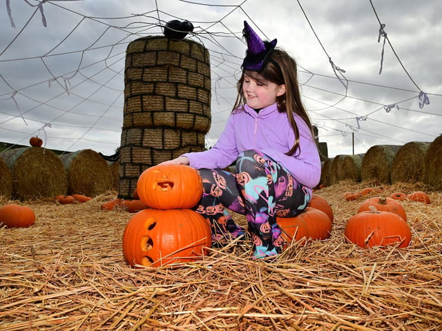 Having fun under a huge spider web.