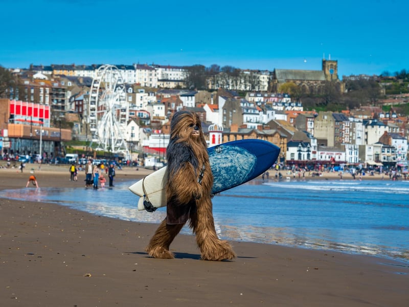 Chewbacca takes time out from the event to participate in a a spot of surfing in 2022.