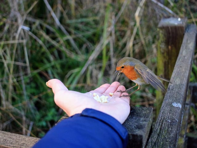Making friends at the Open Air Theatre, by Steve Malton.