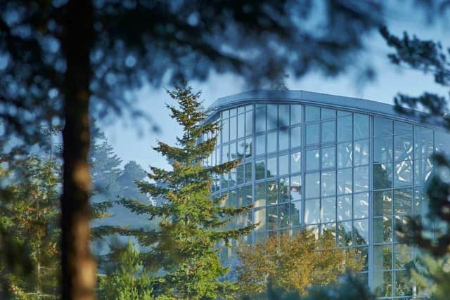 Center Parcs Whinfell Forest: a must for families with children who spend too much time on their devices