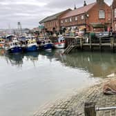 Thor rests in front of fishing trawlers
