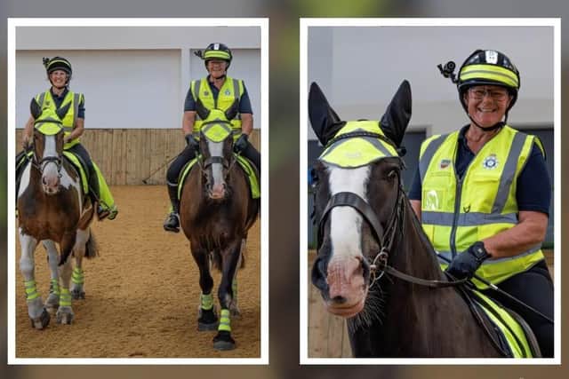 The new additions will provide the force with extra mounted volunteer coverage.