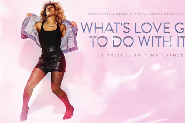 What's Love Got to Do With It is a Tina Turner tribute show