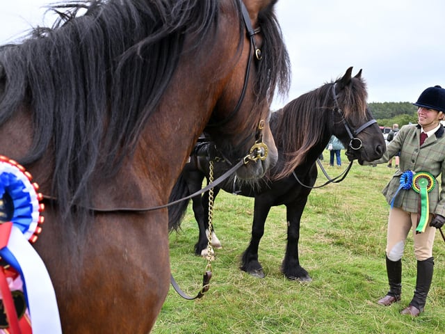 Freya Wilson with her prize winning horse.