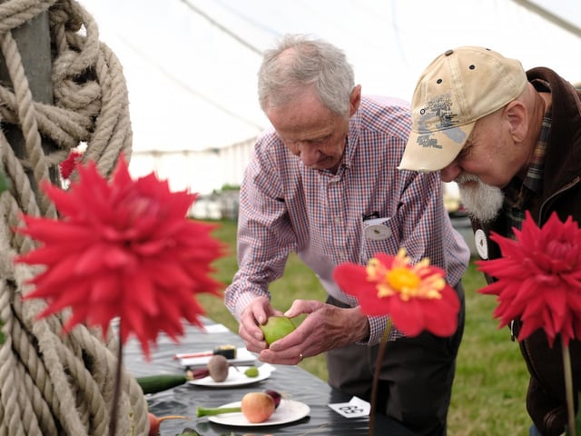 Egton Show will be on Wednesday August 20, 2025.