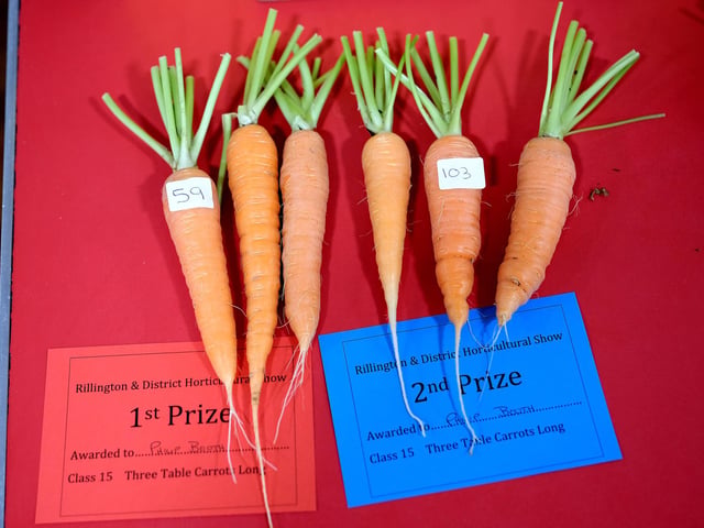 Prize-winning carrots.