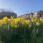 This week is set to be full of spring sunshine, according to the Met Office.