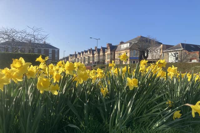 This week is set to be full of spring sunshine, according to the Met Office.