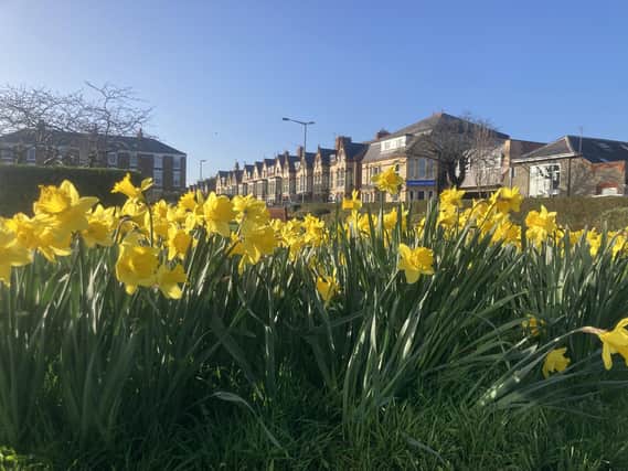 This week is set to be full of spring sunshine, according to the Met Office.