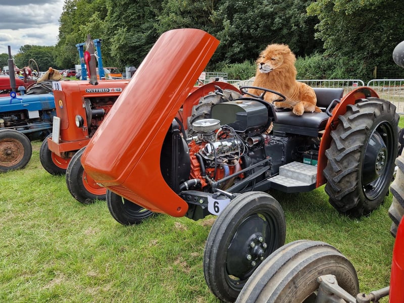 The show was a roaring success