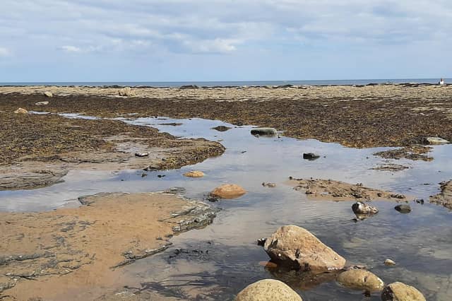 Robin Hood's Bay beach on a glorious summer's day.
picture: Duncan Atkins.