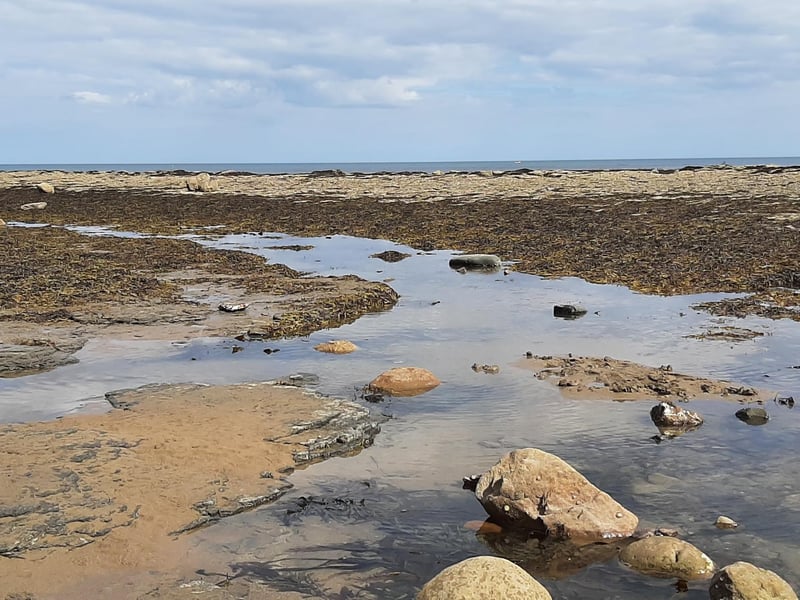 Robin Hood's Bay beach on a glorious summer's day.
picture: Duncan Atkins.