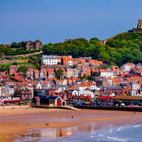 Why does Scarborough have so many vape shops and barbers?