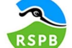The RSPB Bempton Cliffs with Ivan Nethercoat.