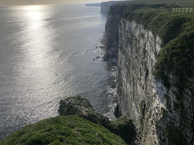 The visitor centre also offers a binocular hire service, so even the smallest birds can be seen from the clifftops.
