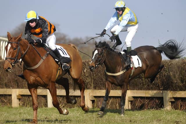 Charm Park action. Picture Richard Ponter