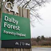 Looking for something different to celebrate Christmas with this year? Dalby Forest has something in store for everyone!