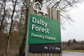 Looking for something different to celebrate Christmas with this year? Dalby Forest has something in store for everyone!