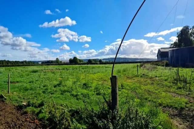 Land where the cattle building will be constructed