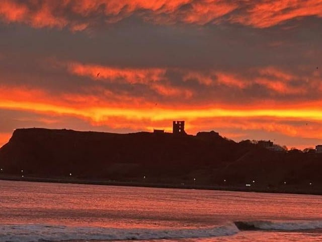 Photo submitted by Jude Mitchell.