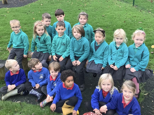 Nawton and Rosedale Federation.