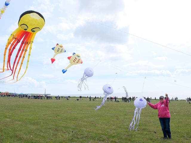 Jellyfish and other sea creatures dancing in the breeze.