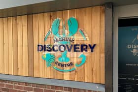 Whitby Marine Discovery Centre on Pier Road.