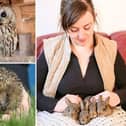 Alex Farmer (right) with some of the animals looked after at Whitby Wildlife Sanctuary.