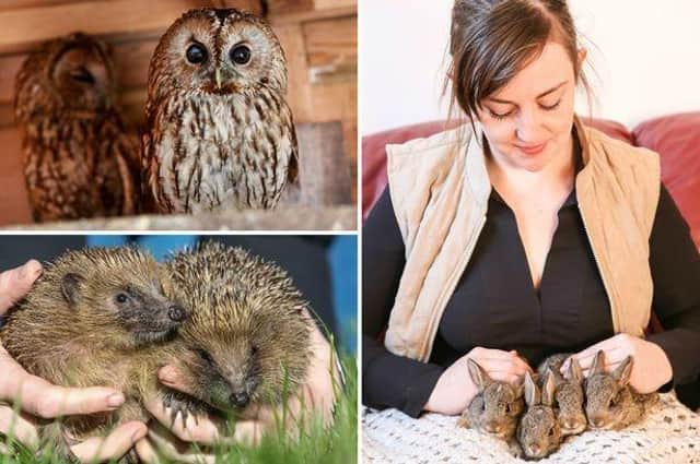 Alex Farmer (right) with some of the animals looked after at Whitby Wildlife Sanctuary.