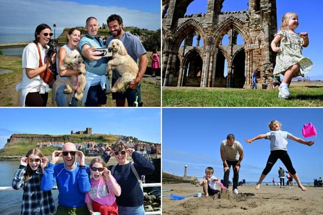Check out the photos below!