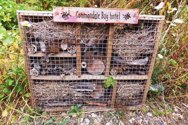 Hotel accommodation in Commondale!