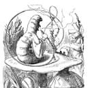 The Caterpillar
