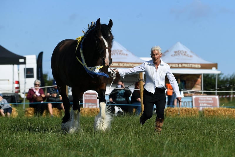 Hinderwell Horse and Agricultual Show is on August 9, 2024.
Judy Forrester is pictured here at the last show in 2022 after last year's fell victim to heavy rain.
Picture: Jonathan Gawthorpe.