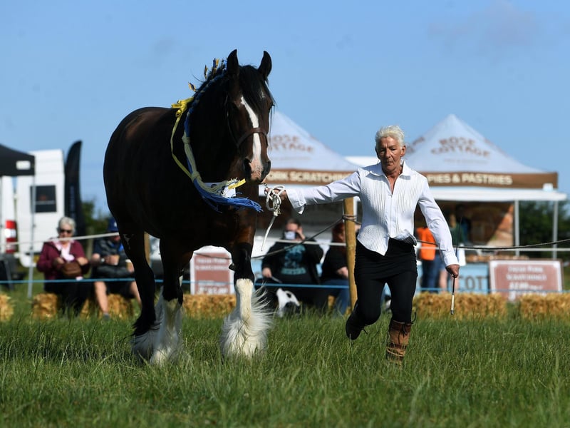 Hinderwell Horse and Agricultual Show is on August 9, 2024.
Judy Forrester is pictured here at the last show in 2022 after last year's fell victim to heavy rain.
Picture: Jonathan Gawthorpe.