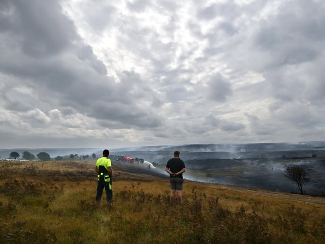 Viewing the devastation