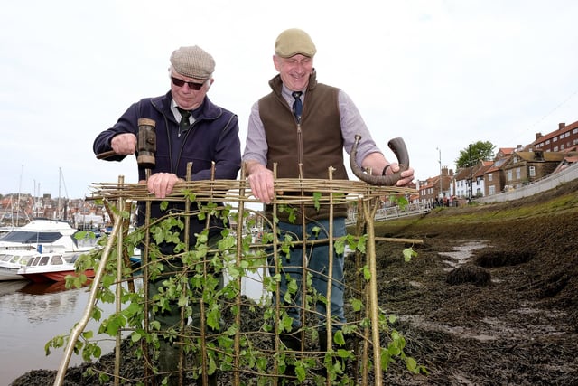 The fabulous Penny Hedge tradition gets under way with Lol Hodgson and Tim Osborne building the hedge.picture: Richard Ponter