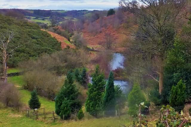 Glaisdale scenery.