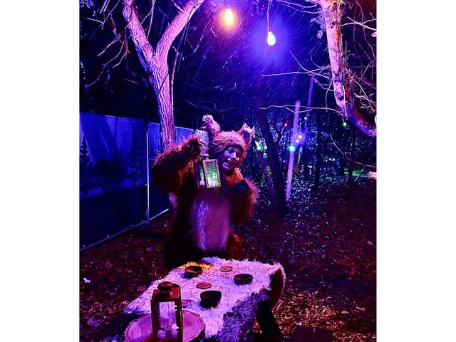 A friendly and festic squirrel can be found in the colourful woodland.